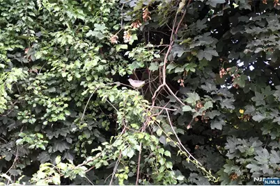 129 Central Place, Orange, NJ 07050 - Photo 23