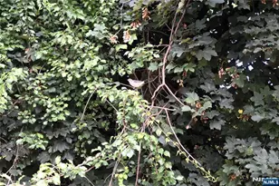 129 Central Pl, Orange, NJ 07050 - Photo 23