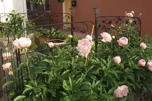 7810 3rd Ave, North Bergen, NJ 07047 - Photo 13