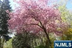 5 Summit Terrace, Kinnelon, NJ 07405 - Photo 47