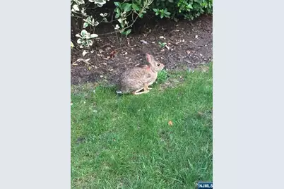 280-320 Oak Street 306Tg #306TG, Ridgewood, NJ 07450 - Photo 17