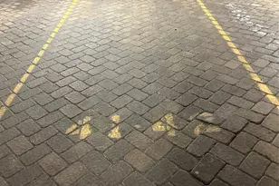 65 Fairview Street 3D, Palisades Park, NJ 07650 - Photo 19