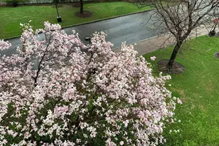 2100 Linwood Ave 7D, Fort Lee, NJ 07024 - Photo 23