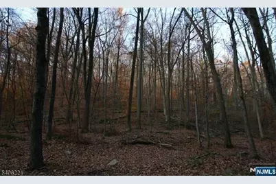 Sweet Hollow Road, Holland Township, NJ 08848 - Photo 7