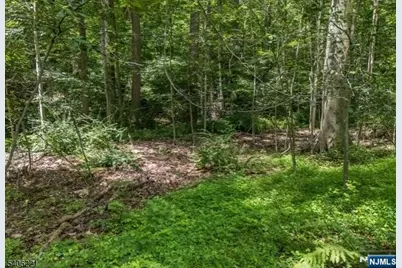 Sweet Hollow Road, Holland Township, NJ 08848 - Photo 11