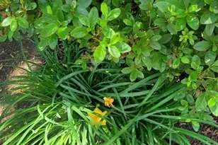 100 Huguenot Ave 6B, Englewood, NJ 07631 - Photo 17