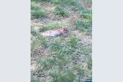 280-320 Oak Street 304B #304B, Ridgewood, NJ 07450 - Photo 17