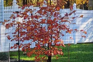 5 Linden, Emerson, NJ 07630 - Photo 3