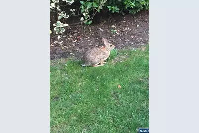 280-320 Oak Street 304C #304C, Ridgewood, NJ 07450 - Photo 15