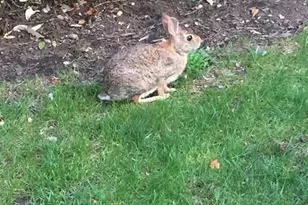 280-320 Oak Street 320C, Ridgewood, NJ 07450 - Photo 19