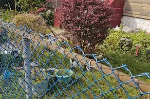 15 Hanover Rd, West Milford, NJ 07421 - Photo 11