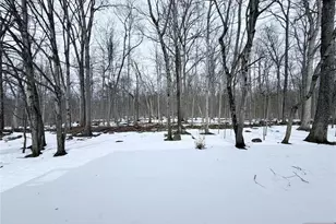 123 Bobolink Ct, Wayne, NJ 07470 - Photo 33