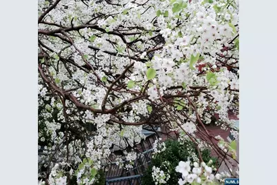 337 The Promenade 337 #337, Edgewater, NJ 07020 - Photo 23