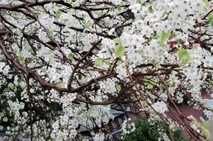 337 The Promenade 337, Edgewater, NJ 07020 - Photo 23