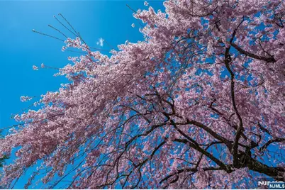 25 Hinchman Avenue 1A #1A, Wayne, NJ 07470 - Photo 27