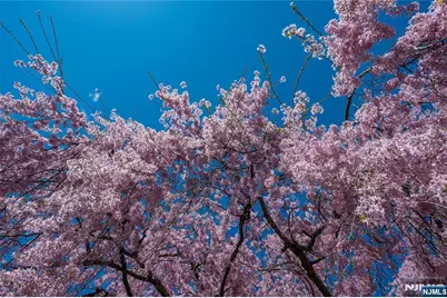 25 Hinchman Avenue 1A #1A, Wayne, NJ 07470 - Photo 25