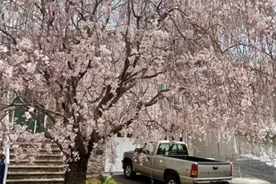 137 Norwood Ave, Lodi, NJ 07644 - Photo 11