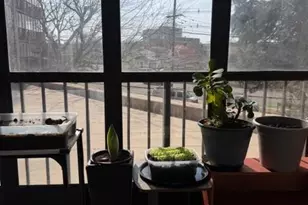 300 Winston L1, Cliffside Park, NJ 07010 - Photo 11