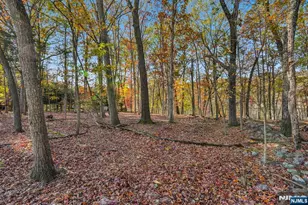 212 Seminole Ln, Franklin Lakes, NJ 07417 - Photo 3