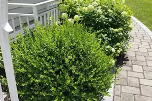 7 Lindley B, Tenafly, NJ 07670 - Photo 25