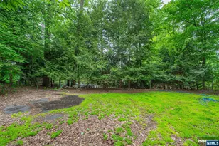 115 Hampshire Hill Rd, Upper Saddle River, NJ 07458 - Photo 35
