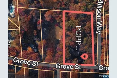 157 Grove Street, Ramsey, NJ 07446 - Photo 45