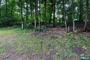 101 Old Clove Rd, Sussex, NJ 07461 - Photo 29