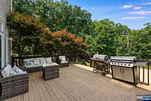 10 Pasha Ct, Rockaway, NJ 07435 - Photo 37