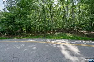 782 Brooklyn Mountain Rd, Hopatcong, NJ 07843 - Photo 1