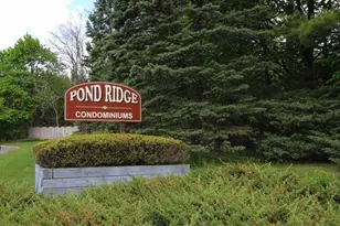 207 N Maple Ave, Park Ridge, NJ 07656 - Photo 17