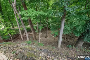 58 Orton, West Caldwell, NJ 07006 - Photo 25