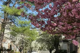 56 Hawthorne Ave B, Park Ridge, NJ 07656 - Photo 25