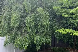 142 Fairview Ave, Bogota, NJ 07603 - Photo 1