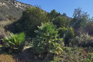 1088 Deer Springs Rd, San Marcos, CA 92069 - Photo 35