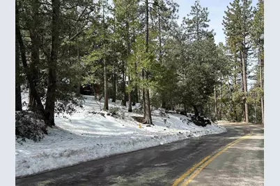  Lot 8 Saunders Meadow Rd #8, Idyllwild, CA 92549 - Photo 5