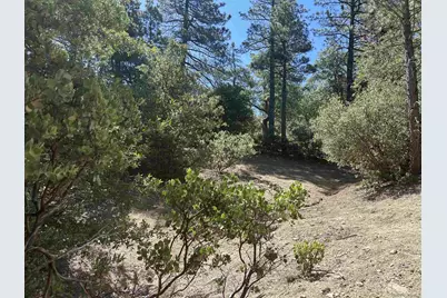  Lot 8 Saunders Meadow Rd #8, Idyllwild, CA 92549 - Photo 11