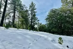 Lot 8 Saunders Meadow Rd, Idyllwild, CA 92549 - Photo 1