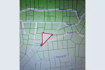  0 Forest Dr #13, Cedarpines Park, CA 92322 - Photo 3