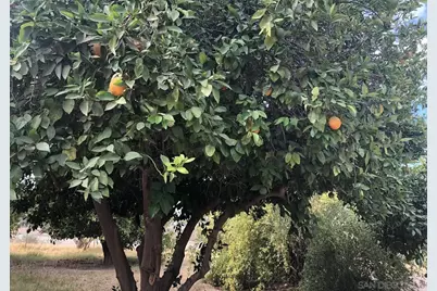  1905 E Heber Rd., Holtville, CA 92250 - Photo 7