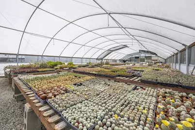  1037 Buena Vista Drive #37, Vista, CA 92081 - Photo 15