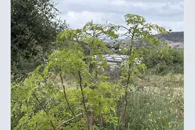  0 Santa Virginia Drive #02, Valley Center, CA 92082 - Photo 13