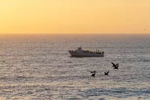 939 Coast Blvd, La Jolla, CA 92037 - Photo 47