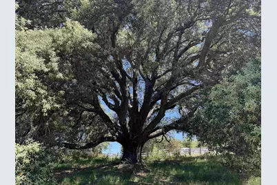  5750 Forest Meadows #01, Julian, CA 92036 - Photo 13