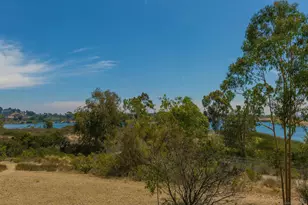 11061 Scripps Ranch, San Diego, CA 92131 - Photo 63