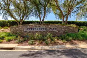 569 Inverlochy Dr, Fallbrook, CA 92028 - Photo 35