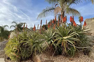 1637 Paraiso Ave, Spring Valley, CA 91977 - Photo 5