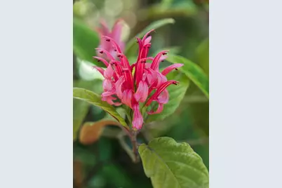  1010 Myrtle Way, San Diego, CA 92103 - Photo 59