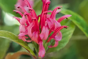 1010 Myrtle Way, San Diego, CA 92103 - Photo 59