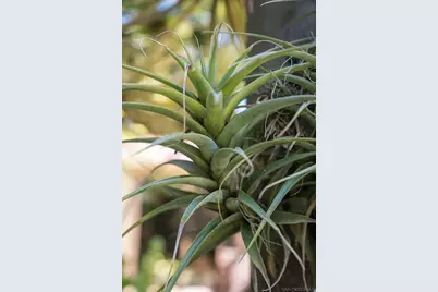  1010 Myrtle Way, San Diego, CA 92103 - Photo 57