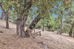 3839 Deer Lake Park Rd, Julian, CA 92036 - Photo 33